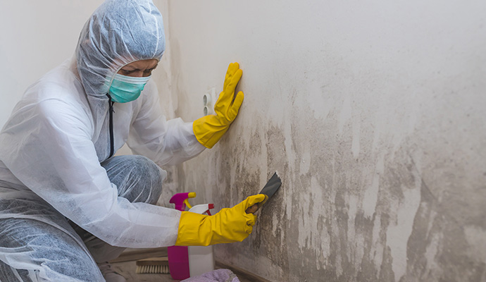 Professional worker cleaning mold using equipment