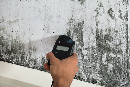 wall mold testing using a black testing device