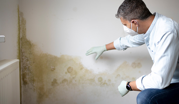 Men inspecting molded wall.