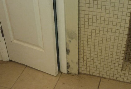 mold growth of wall