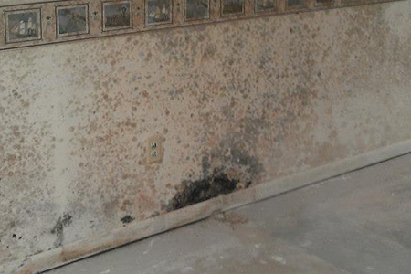 A wall with significant mold growth.