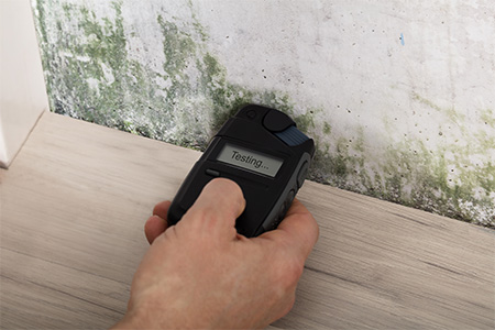 wall mold testing uisng a black testing device