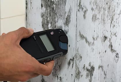 worker testing mold on the wall