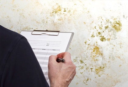 A person inspecting mold wall