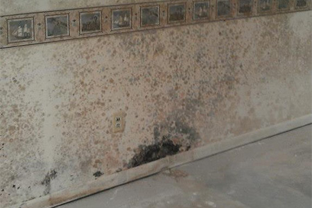  an interior wall with visible mold growth